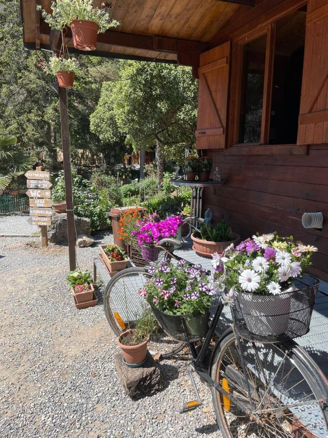 Agricamping Le Terrazze Hotel Orco Feglino Exterior foto