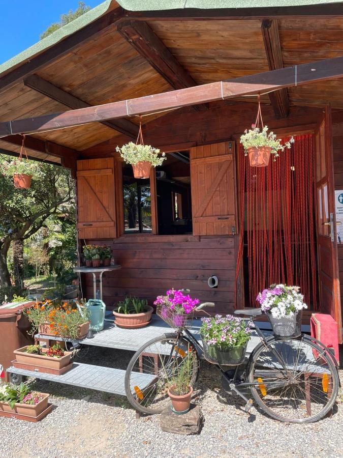 Agricamping Le Terrazze Hotel Orco Feglino Exterior foto